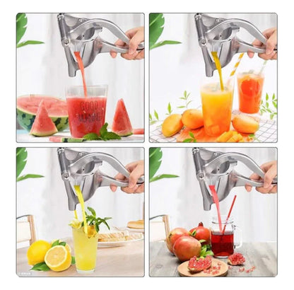 Fruit Press Juicer